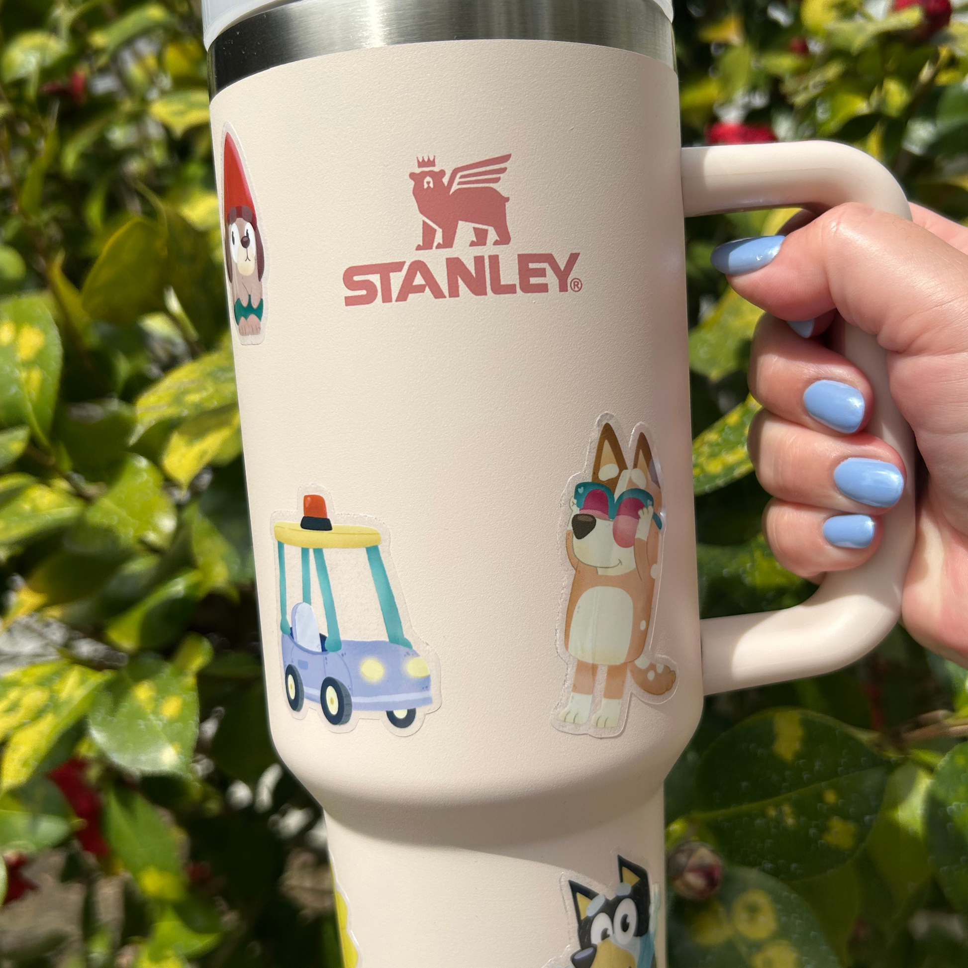 Bluey Spring tumbler with clear sticker – 40oz Stanley Disney Heeler bundle