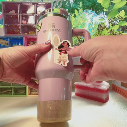 Moana 40oz Tumbler + Waterproof Vinyl Sticker Set – Disney Princess Bundle